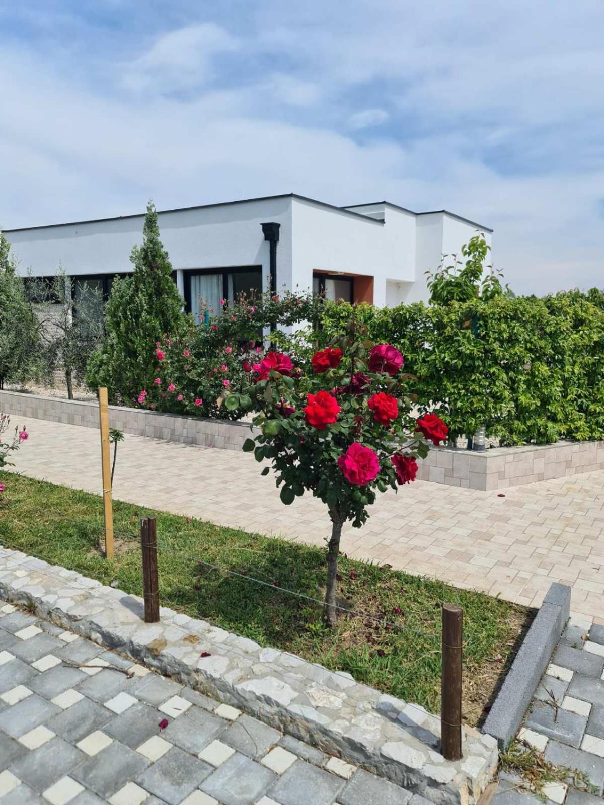 Imperial Family Resort Ulcinj Exterior photo