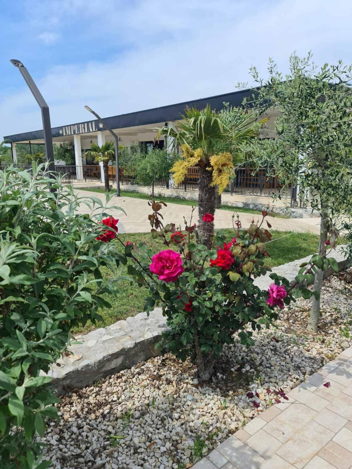 Imperial Family Resort Ulcinj Exterior photo